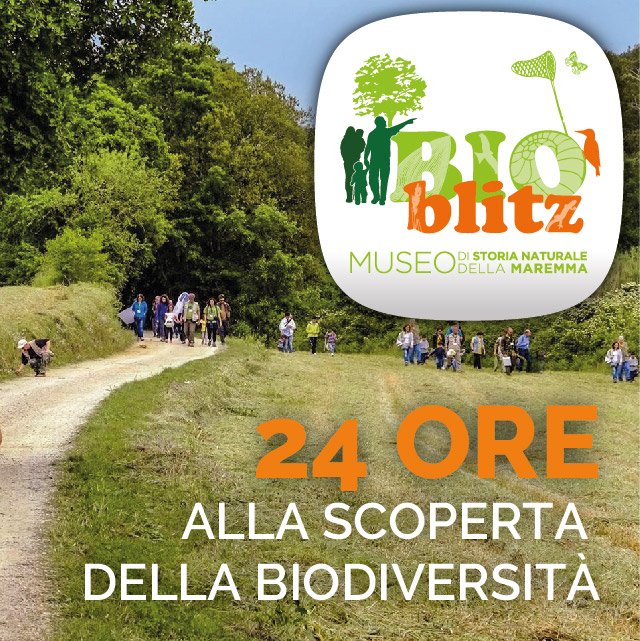 BioBlitz 2022, alla scoperta della biodiversità delle Cornate e Fosini