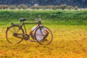 In bicicletta nella natura Due giorni per 56 chilometri