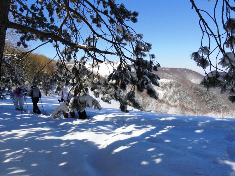 Al via sabato 26 gennaio il nuovo calendario di 'ciaspolate' sulla neve nel Parco del Frignano