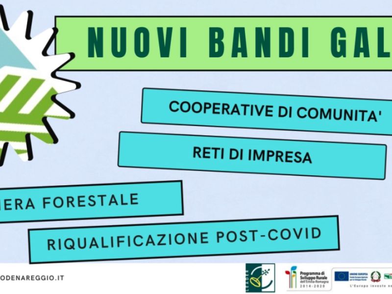 Martedì 8 giugno un webinar online con la presentazione dei nuovi bandi del GAL 'Antico Frignano e Appennino Reggiano' per i territori di Modena e Reggio Emilia