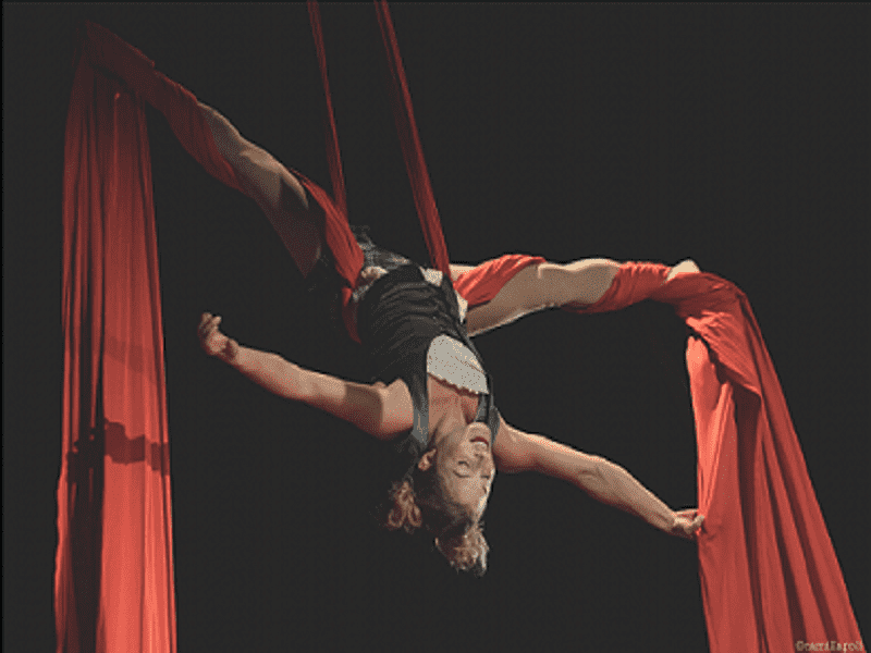 'Equilibrini: letture al circo' a Corniglio domenica 07 agosto