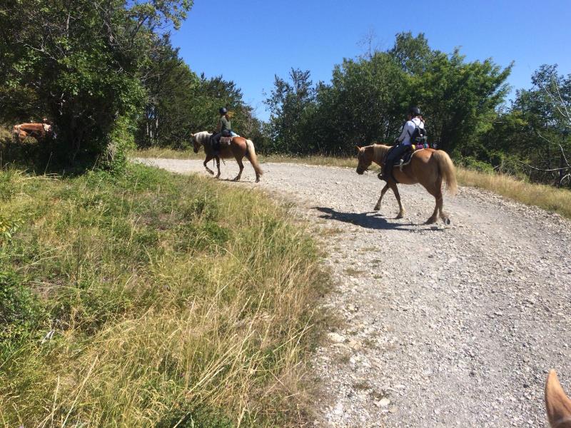 Trekking a cavallo attraverso il Borgo degli Artisti a Mossale di Bosco