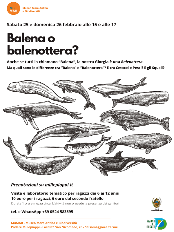 Balene o Balenottere? sabato 25 e domenica 26 febbraio
