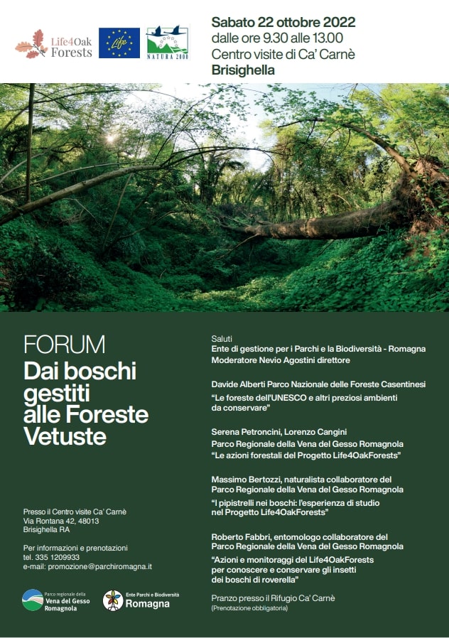 Forum 'Dai boschi gestiti alle foreste vetuste'