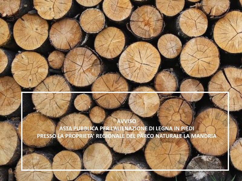 Avviso di asta pubblica per l'alienazione di legna in piedi nel Parco naturale La Mandria