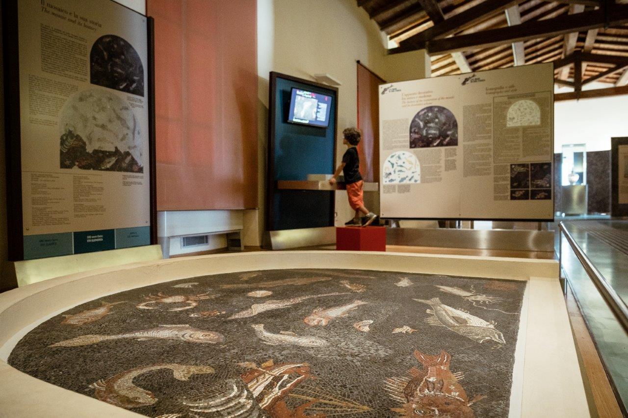 Museo archeologico del Territorio di populonia - Mosaico dei pesci con postazione multimediale