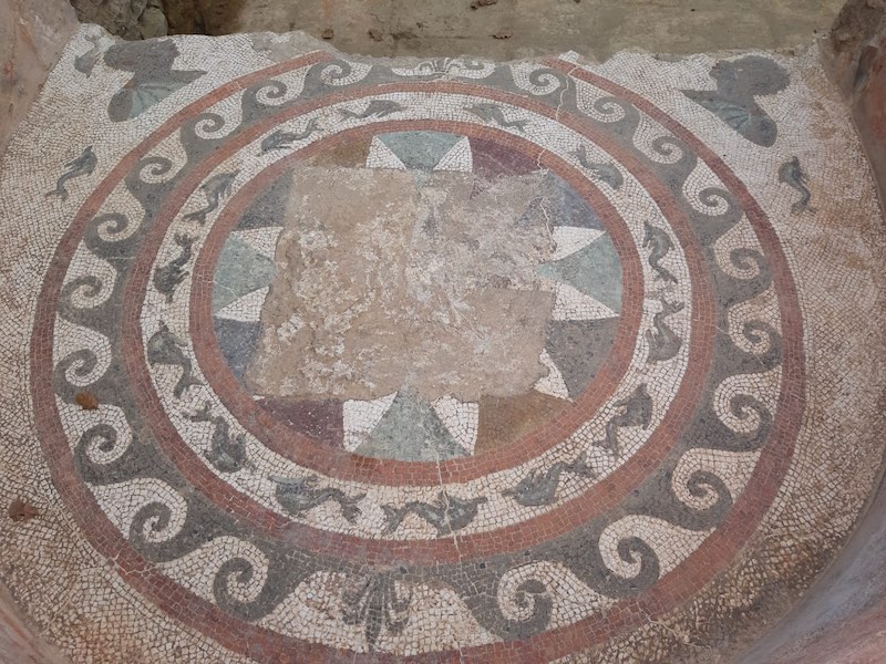 Aperti per Restauro. 8 gennaio all'Acropoli di Populonia: anteprima del Mosaico dei Neri
