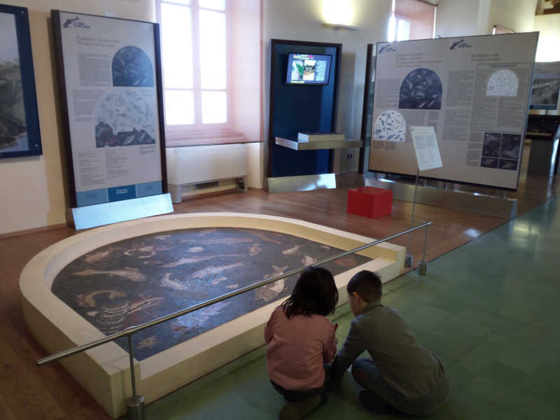 'Diversi ma uguali': parchi e musei della Val di Cornia aderiscono  alla Giornata Nazionale delle Famiglie al Museo