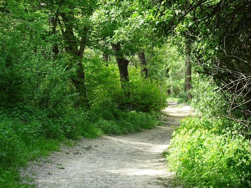 Sentiero nel Parco Le Vallere, Moncalieri (Foto di Enrico Castello)