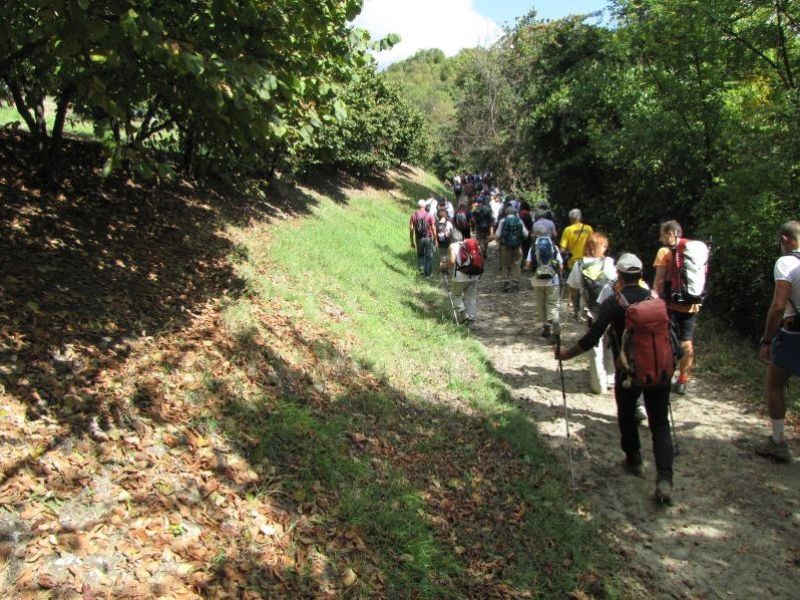 In cammino sulle colline del Po Andar per sentieri… nel 2022: Anello dal ponte Umberto I al Colle della Maddalena