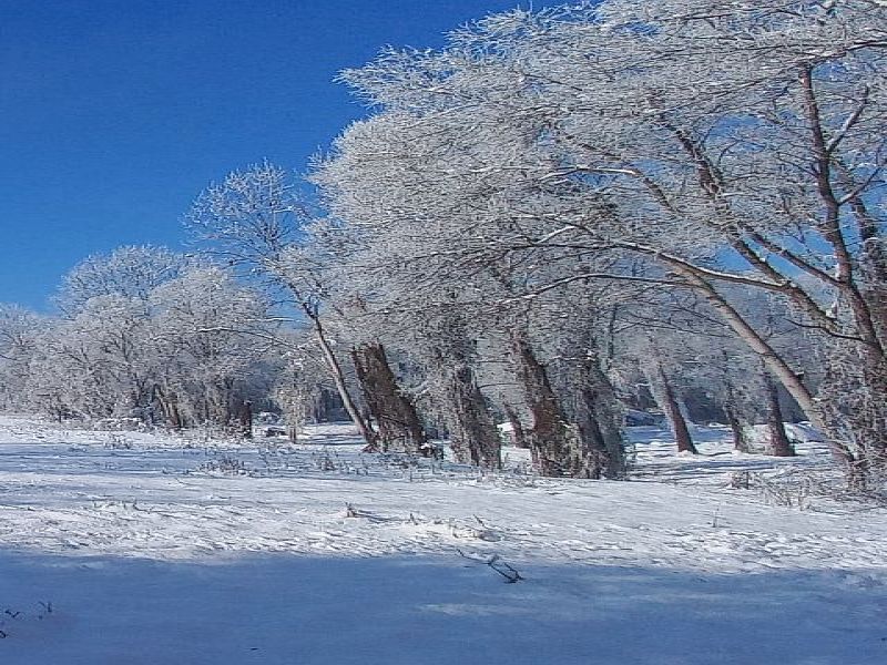 Inverno nel Parco del Po a Casalgrasso (Foto di Enrico Castello)