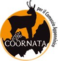 The Project LIFE09 NAT/IT/000183 COORNATA 'Development of coordinated protection measures for Apennine Chamois' started in the Park