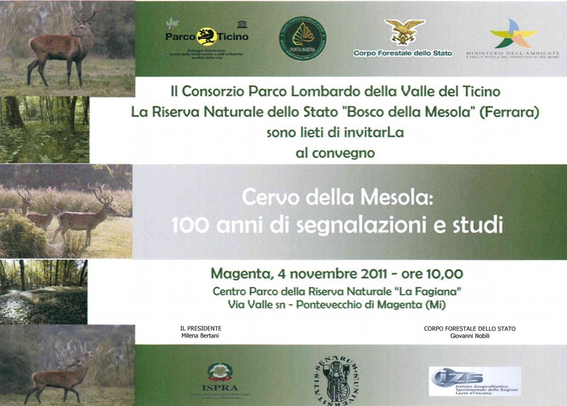 Cervo della Mesola: 100 anni di segnalazioni e studi