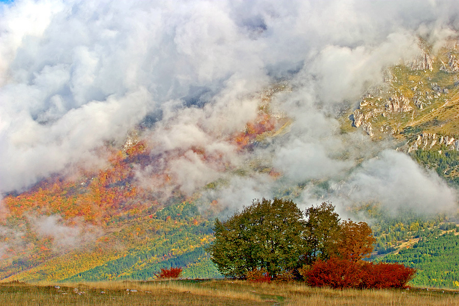 Nuvole coprono dei boschi autunnali sul Gran Sasso