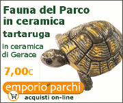 Fauna del Parco in ceramica - Tartaruga