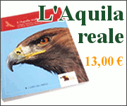 L'Aquila reale