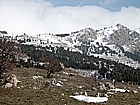 Pasture and Sacro Monte di Viggiano