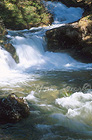 Rapids near the waterfall of Vallesinella
