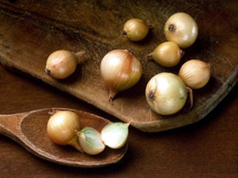 Ivrea Small Onions