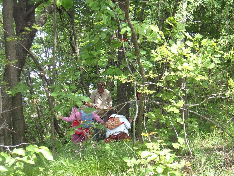 Bambini alla scoperta del bosco in collina