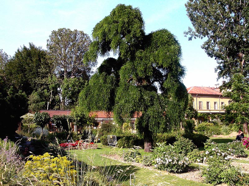 Botanic Gardens in Turin