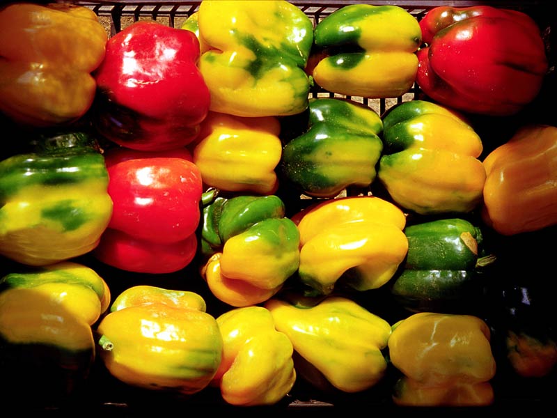 Carmagnola square peppers