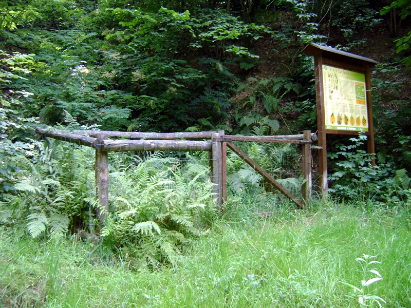 Pian Gambino Trail