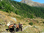 Park Keepers on Horseback in Alpe Veglia