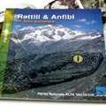 Rettili e anfibi in Alta Valsesia