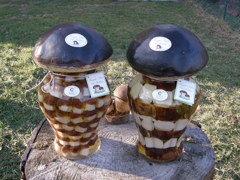Mushrooms in Oil