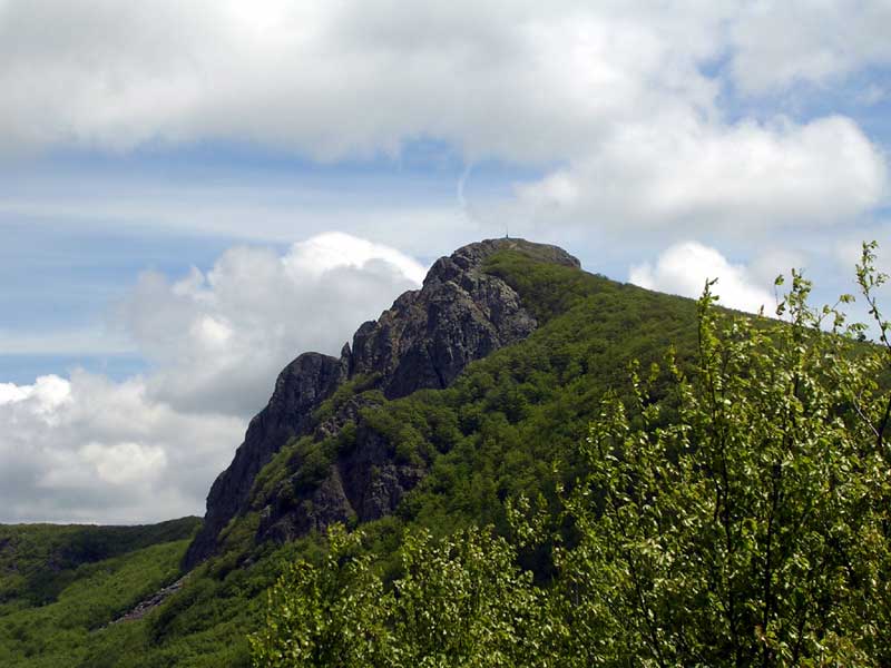 Berg Penna