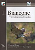 Il Biancone, biologia e migrazione nell'Appennino Ligure