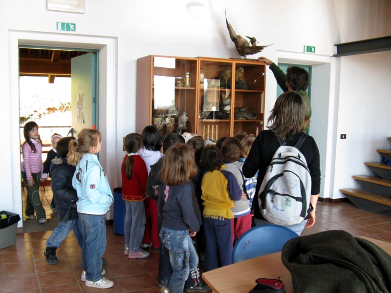 A scuola in Burcina - Laboratori di mezza giornata nell'aula di educazione ambientale