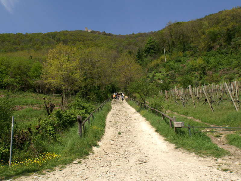 N. 4 - Wanderweg des Monte Venda G.G.Lorenzoni