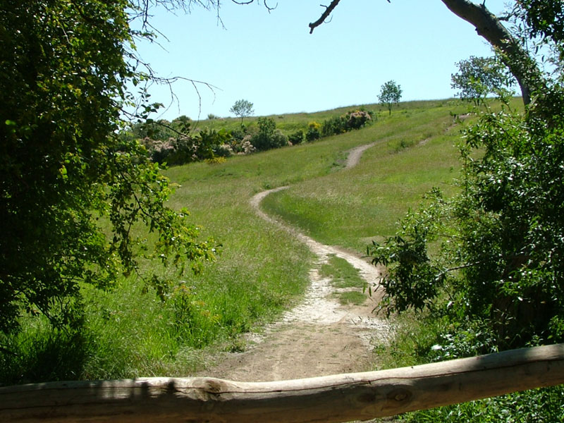 No 8 - Mt. Cecilia Trail