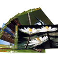 Serie di cartoline Immagini dal Sahel