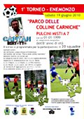 2^ Edizione del Torneo Nazionale di calcio Parco delle Colline Carniche - Categoria: Pulcini