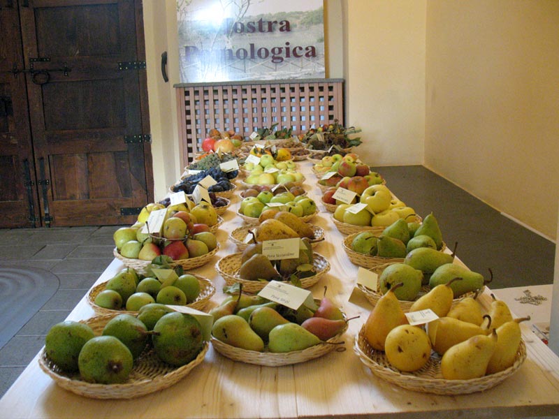 Fruit-growers exhibit - Etna