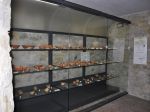 Antiquarium Comunale di Baschi 