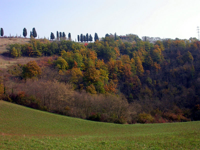 Autumn of the Spipola
