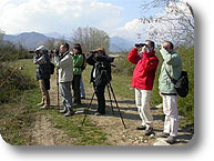 Corso di birdwatching al Parco fluviale Gesso e Stura