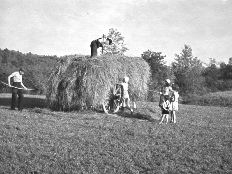 Haymaking in the past