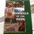 The Mammals of the Park
