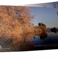 Il Lago di Massaciuccoli - Le Terre Umide