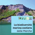 La biodiversitÃ  marina costiera