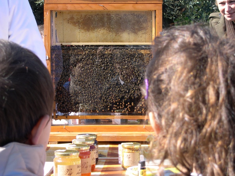Biodiversità e miele a Calice al Cornoviglio