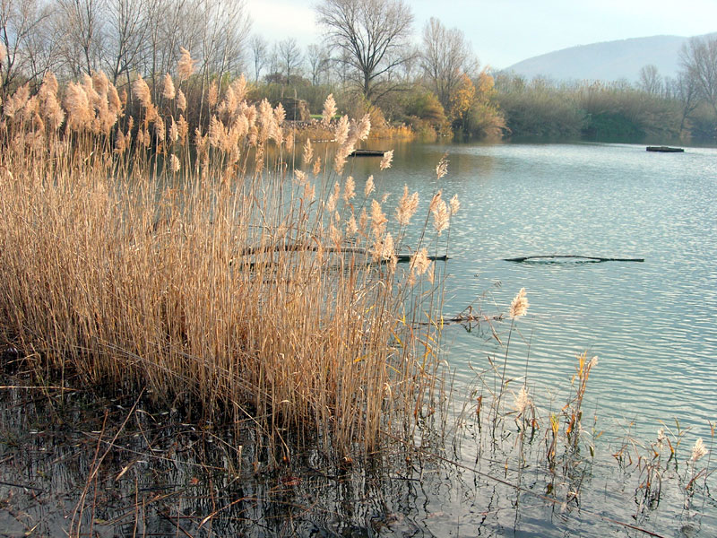 Lago Pallodola