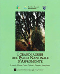 I grandi alberi del Parco Nazionale d'Aspromonte