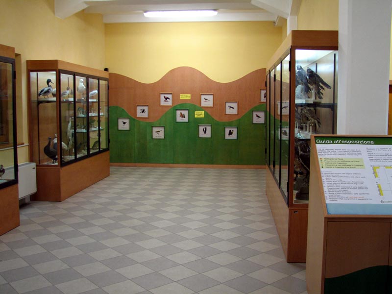Infopunkt und ornithologisches Museum in Camaldoli