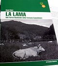La Lama nel Parco Nazionale delle Foreste Casentinesi